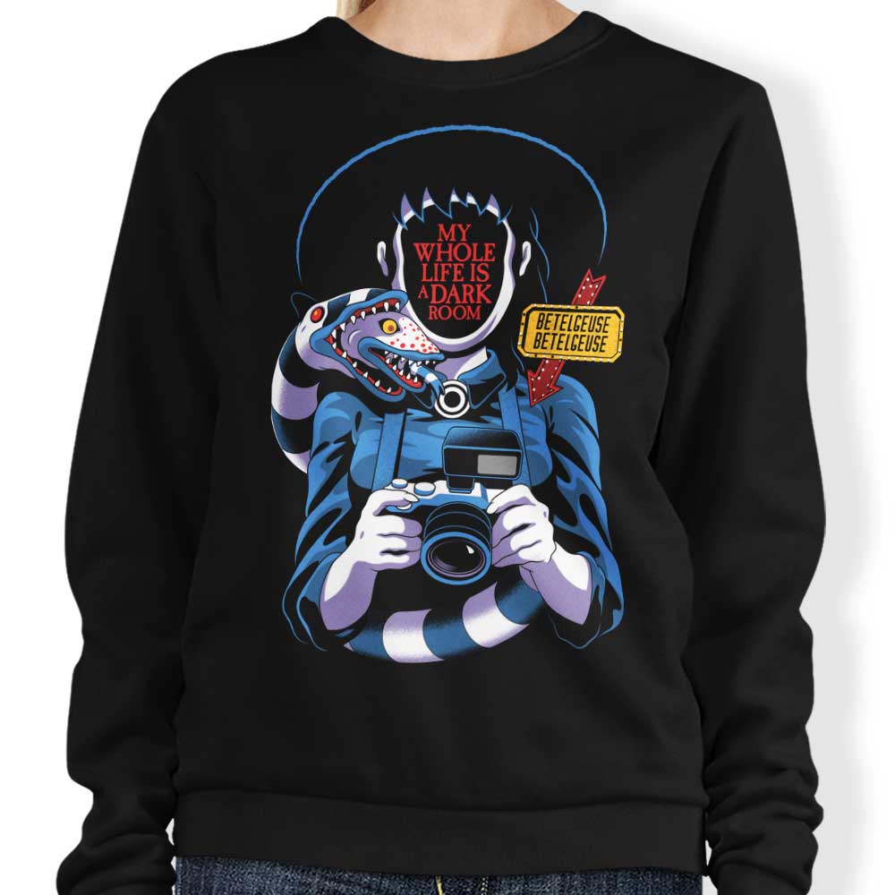 Life is a Dark Room - Adult & Kids T-Shirts, Sweatshirts & Hoodies apparel design preview 1
