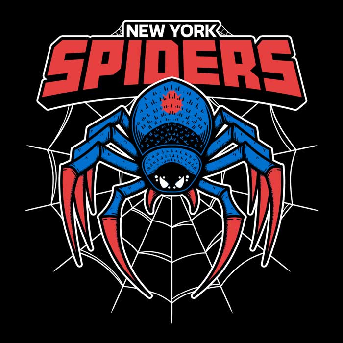 New York Spiders Coasters - Adult & Kids T-Shirts, Sweatshirts & Hoodies apparel design preview 1