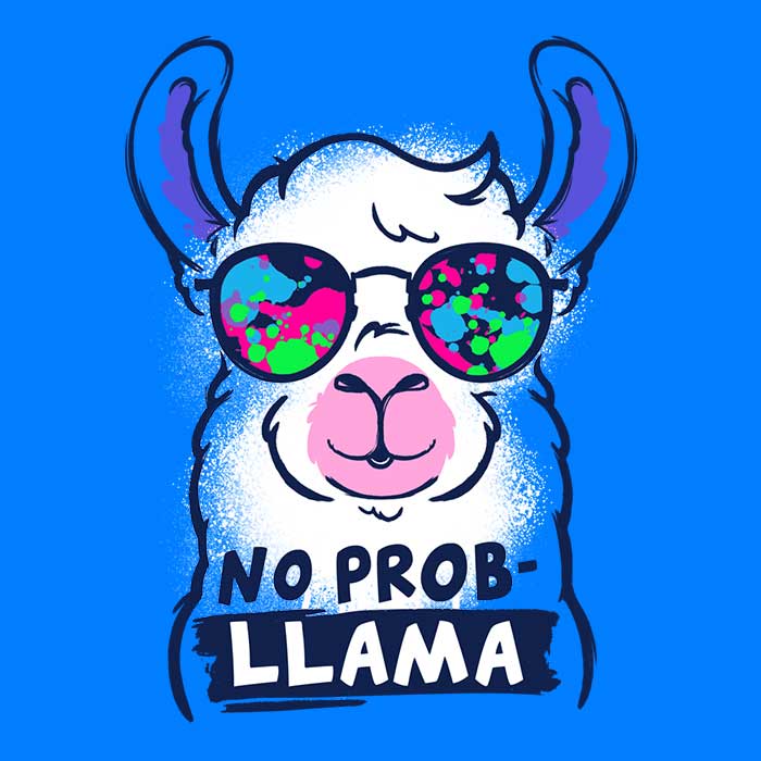 No Probllama Men's Apparel - Adult & Kids T-Shirts, Sweatshirts & Hoodies apparel design preview 2