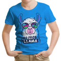 No Probllama Youth Apparel - Adult & Kids T-Shirts, Sweatshirts & Hoodies apparel design preview 1