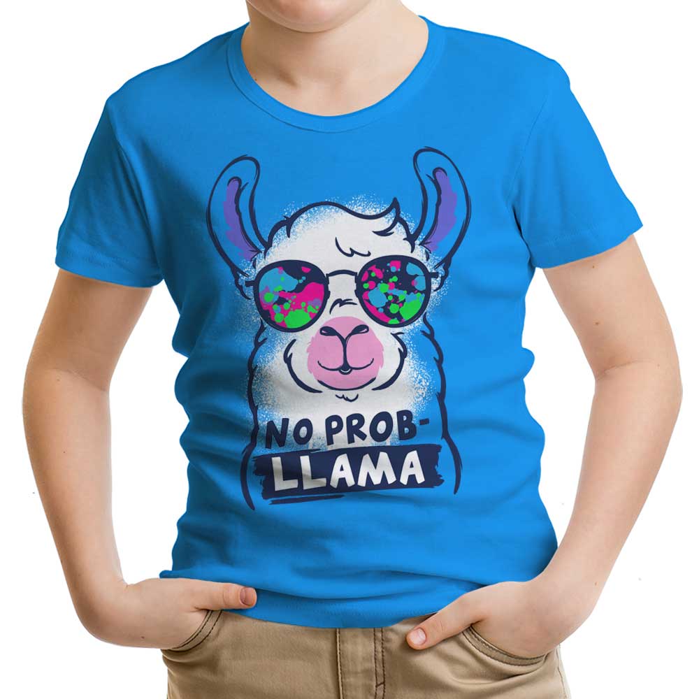 No Probllama Youth Apparel - Adult & Kids T-Shirts, Sweatshirts & Hoodies apparel design preview 1
