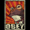Obey the Hypnotoad Coasters - Adult & Kids T-Shirts, Sweatshirts & Hoodies apparel design preview 1