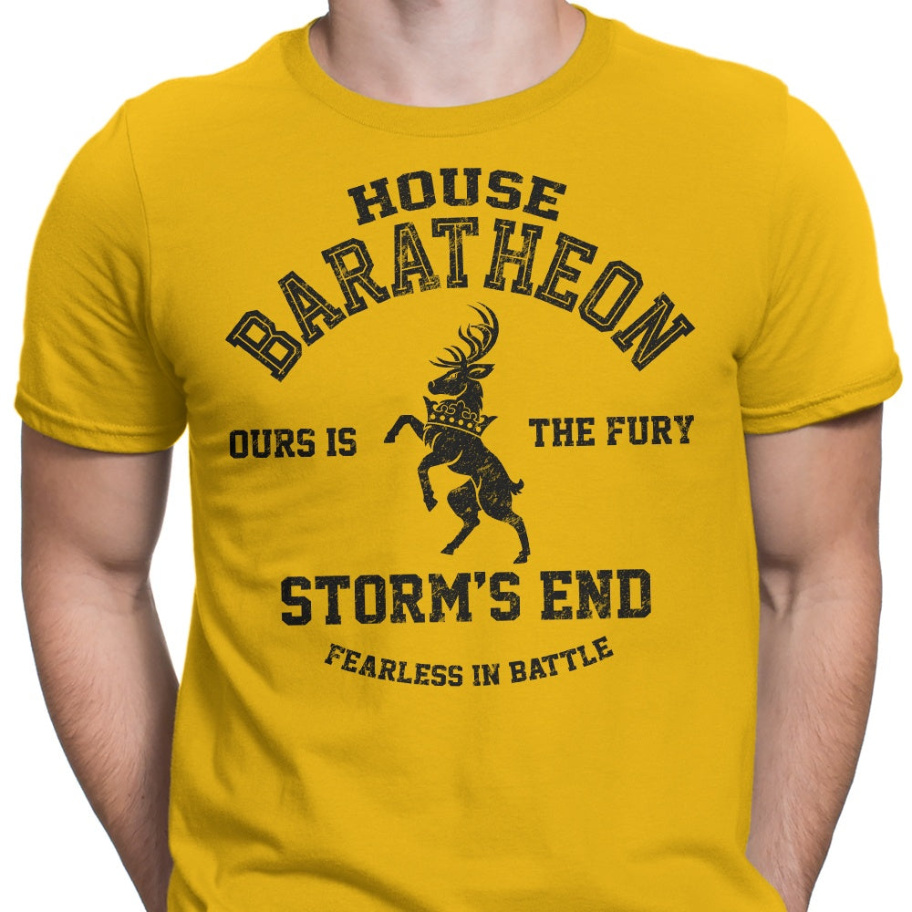 Ours is the Fury (Alt) Men's Apparel - Adult & Kids T-Shirts, Sweatshirts & Hoodies apparel design preview 2