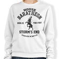 Ours is the Fury (Alt) - Adult & Kids T-Shirts, Sweatshirts & Hoodies apparel design preview 1