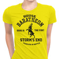 Ours is the Fury (Alt) Women's Apparel - Adult & Kids T-Shirts, Sweatshirts & Hoodies apparel design preview 1