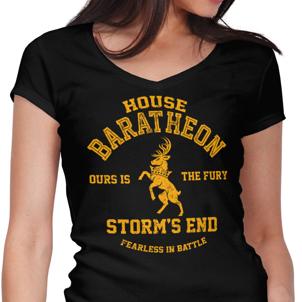 Ours is the Fury Women's V-Neck - Adult & Kids T-Shirts, Sweatshirts & Hoodies apparel design preview 1