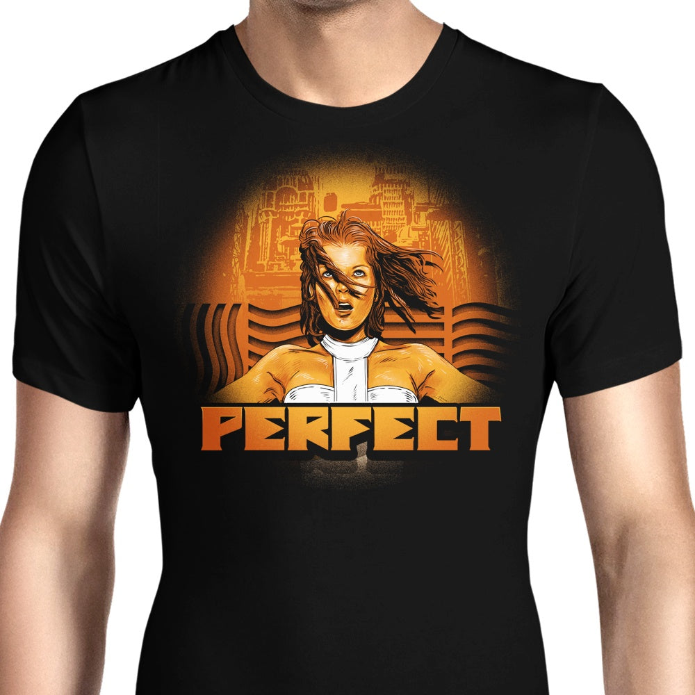 Perfect Men's Apparel - Adult & Kids T-Shirts, Sweatshirts & Hoodies apparel design preview 1