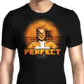 Perfect Men's Apparel - Adult & Kids T-Shirts, Sweatshirts & Hoodies apparel design preview 1