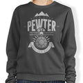 Pewter City Gym - Adult & Kids T-Shirts, Sweatshirts & Hoodies apparel design preview 1