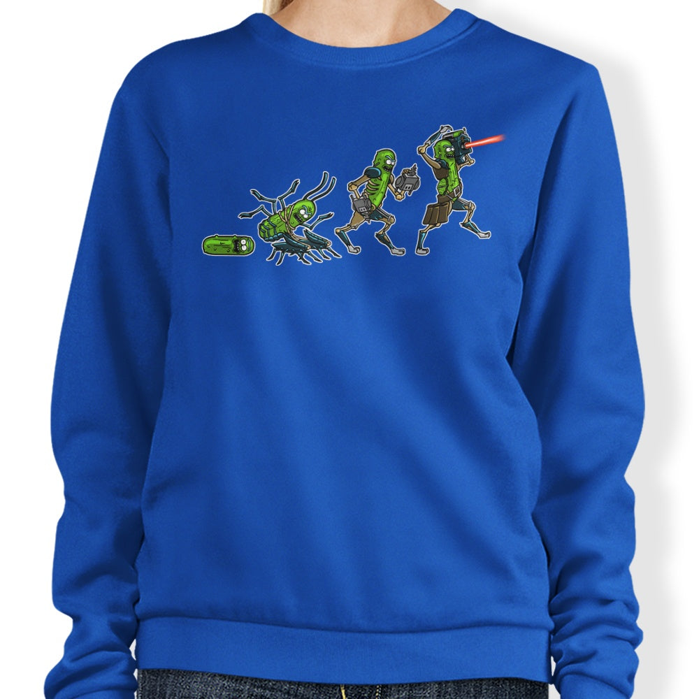 Pickle Evolution - Adult & Kids T-Shirts, Sweatshirts & Hoodies apparel design preview 1
