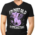 Prehistoric Men's V-Neck - Adult & Kids T-Shirts, Sweatshirts & Hoodies apparel design preview 1