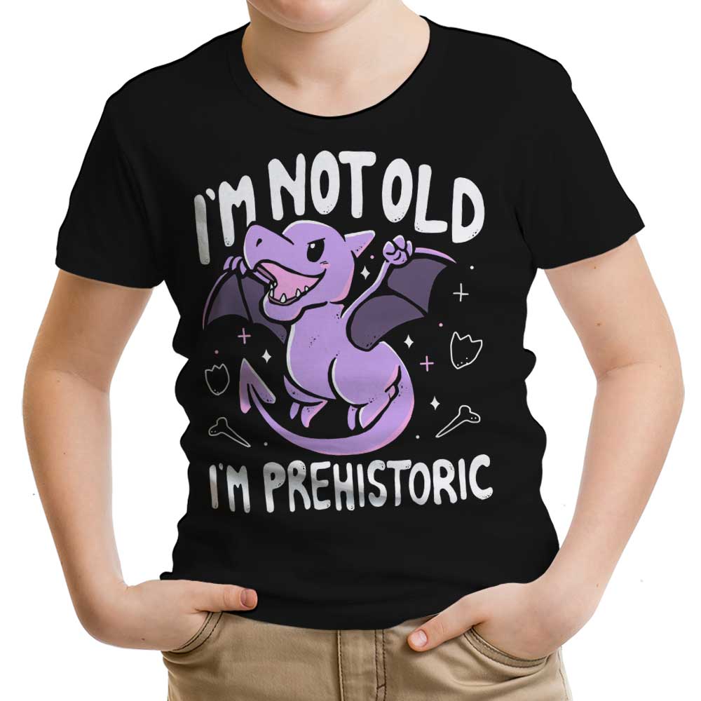 Prehistoric Youth Apparel - Adult & Kids T-Shirts, Sweatshirts & Hoodies apparel design preview 1