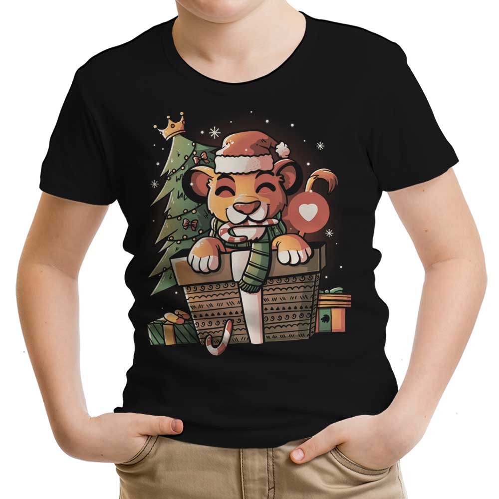 Pride Gift Youth Apparel - Adult & Kids T-Shirts, Sweatshirts & Hoodies apparel design preview 1