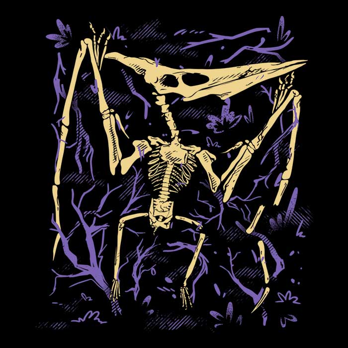 Pteranodon Fossils Men's Apparel - Adult & Kids T-Shirts, Sweatshirts & Hoodies apparel design preview 2