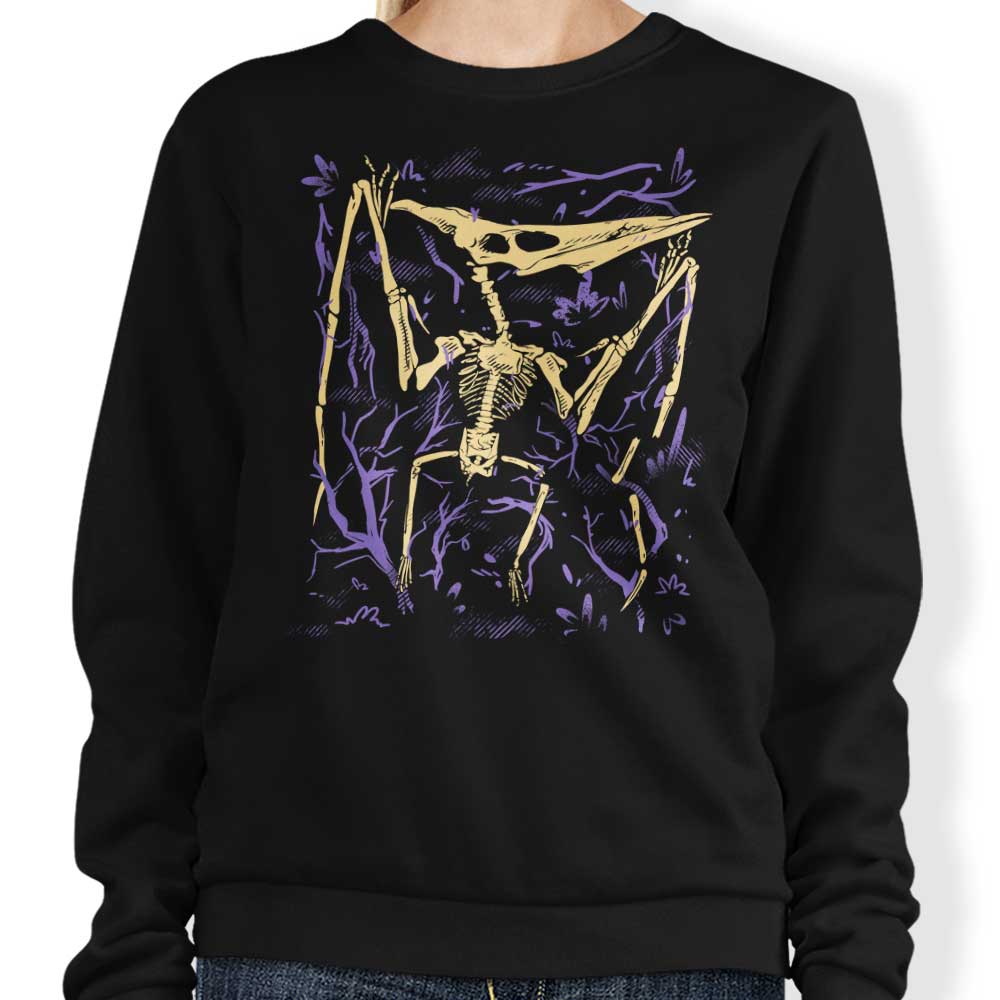 Pteranodon Fossils - Adult & Kids T-Shirts, Sweatshirts & Hoodies apparel design preview 1