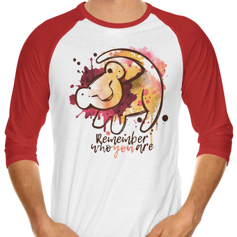 Remember Who You Are 3/4 Sleeve Raglan - Adult & Kids T-Shirts, Sweatshirts & Hoodies apparel design preview 1