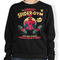 Spider Gym - Adult & Kids T-Shirts, Sweatshirts & Hoodies apparel design preview 1