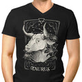 Taurus (Edu.Ely) Men's V-Neck - Adult & Kids T-Shirts, Sweatshirts & Hoodies apparel design preview 1