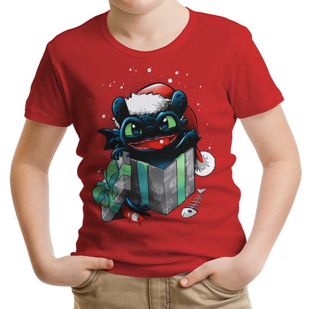 The Christmas Dragon Youth Apparel - Adult & Kids T-Shirts, Sweatshirts & Hoodies apparel design preview 1