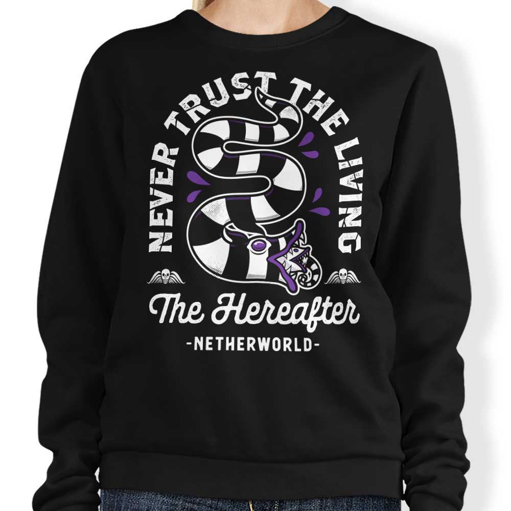 The Hereafter - Adult & Kids T-Shirts, Sweatshirts & Hoodies apparel design preview 1