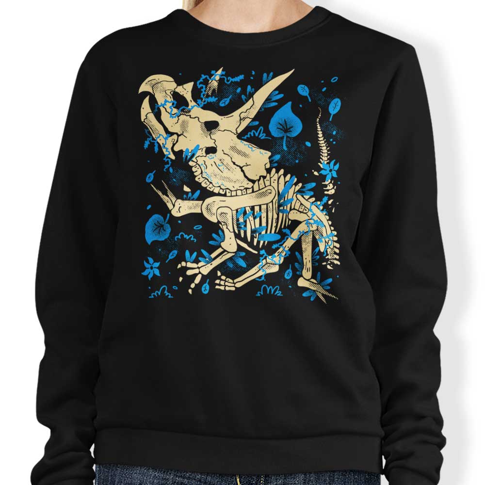 Triceratops Fossils - Adult & Kids T-Shirts, Sweatshirts & Hoodies apparel design preview 1