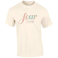 Southernology Colorful Fear is a Liar Comfort Colors - Adult & Kids T-Shirts, Sweatshirts & Hoodies apparel design preview 1