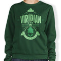 Viridian City Gym - Adult & Kids T-Shirts, Sweatshirts & Hoodies apparel design preview 1