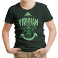 Viridian City Gym Youth Apparel - Adult & Kids T-Shirts, Sweatshirts & Hoodies apparel design preview 1