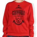 Volcano Badge - Adult & Kids T-Shirts, Sweatshirts & Hoodies apparel design preview 1