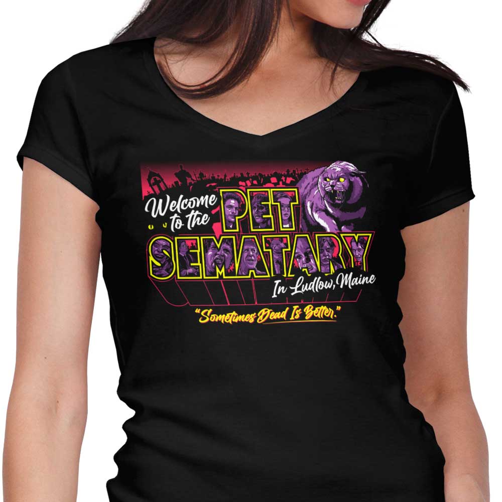 Welcome to Ludlow Women's V-Neck - Adult & Kids T-Shirts, Sweatshirts & Hoodies apparel design preview 1
