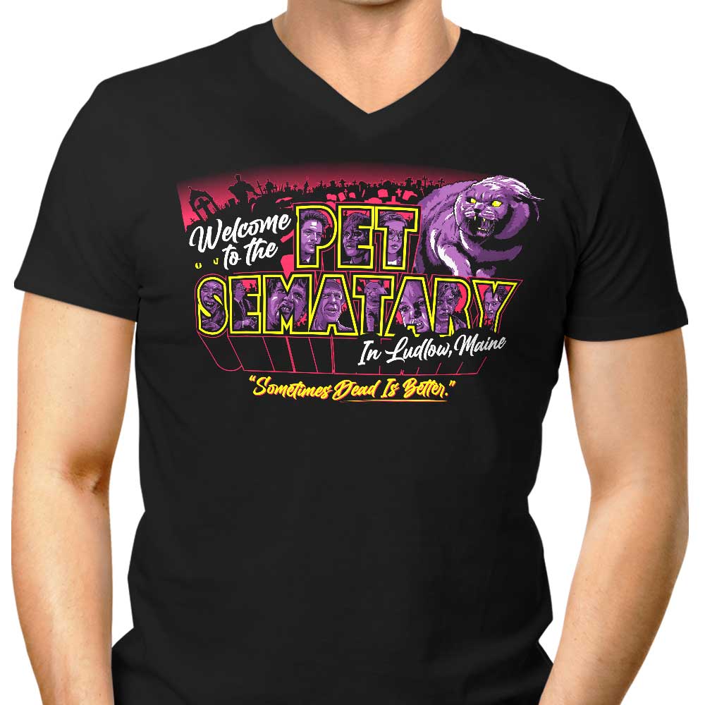 Welcome to Ludlow Men's V-Neck - Adult & Kids T-Shirts, Sweatshirts & Hoodies apparel design preview 1