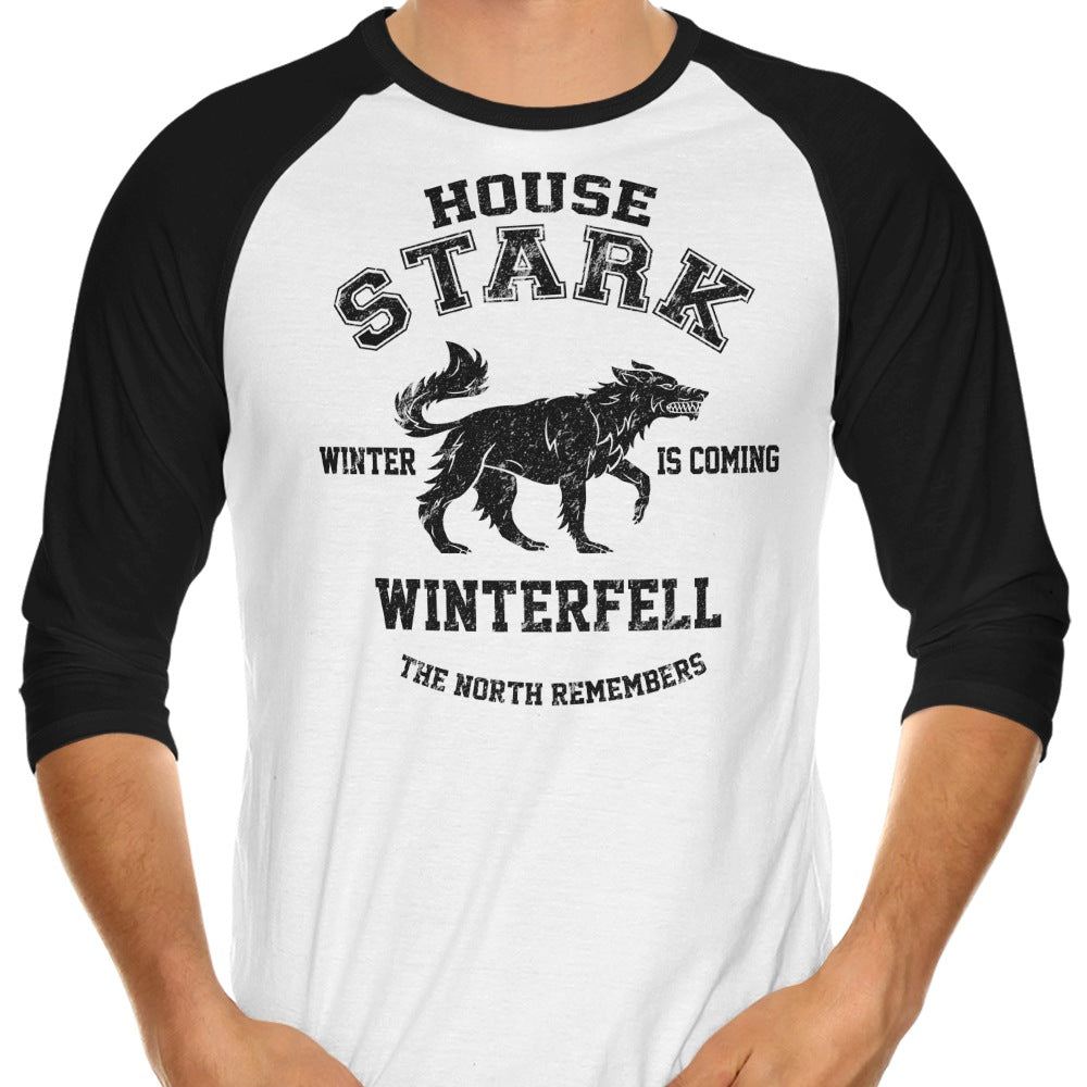 Winter is Coming (Alt) 3/4 Sleeve Raglan - Adult & Kids T-Shirts, Sweatshirts & Hoodies apparel design preview 1