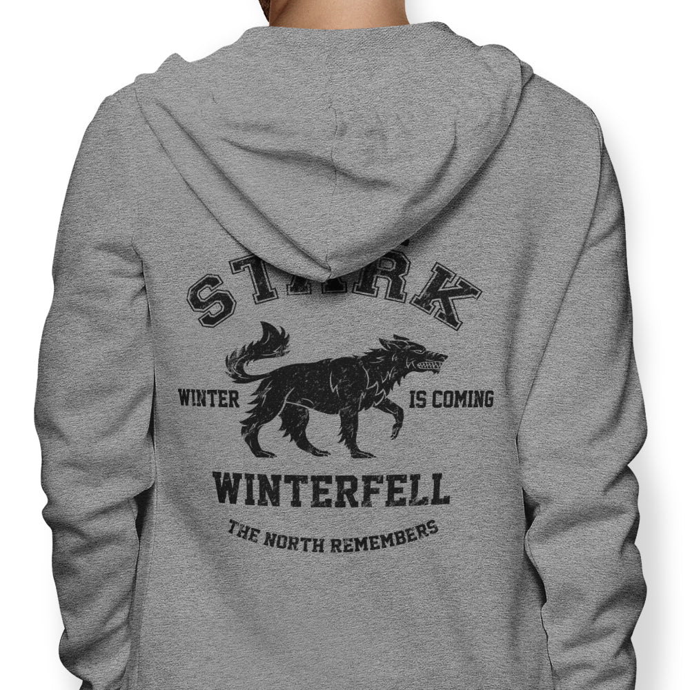 Winter is Coming (Alt) - Adult & Kids T-Shirts, Sweatshirts & Hoodies apparel design preview 1