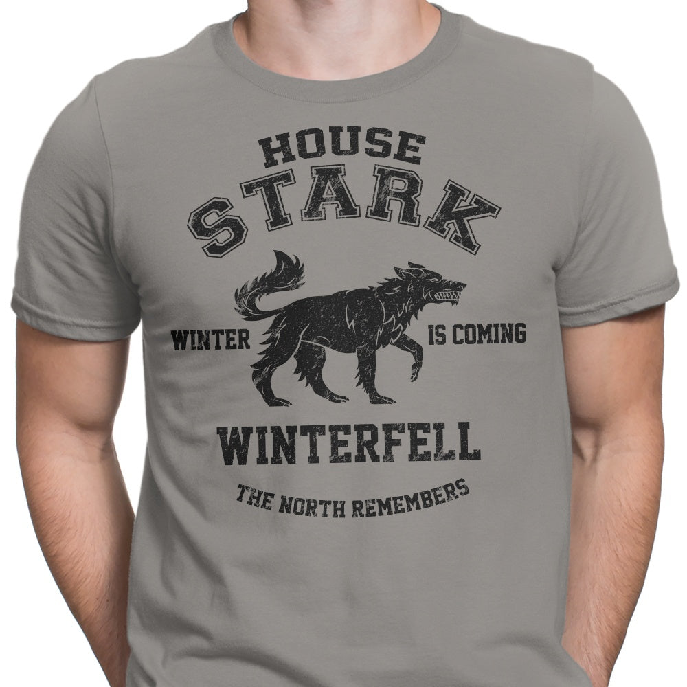 Winter is Coming (Alt) Men's Apparel - Adult & Kids T-Shirts, Sweatshirts & Hoodies apparel design preview 2