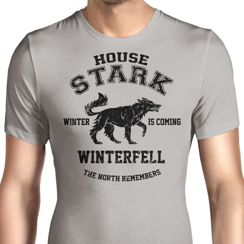 Winter is Coming (Alt) Men's Apparel - Adult & Kids T-Shirts, Sweatshirts & Hoodies apparel design preview 1