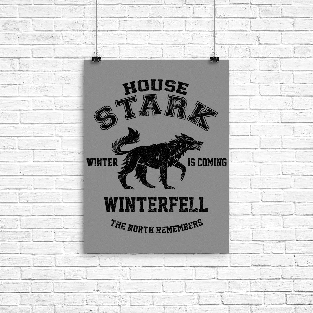 Winter is Coming (Alt) Poster - Adult & Kids T-Shirts, Sweatshirts & Hoodies apparel design preview 1