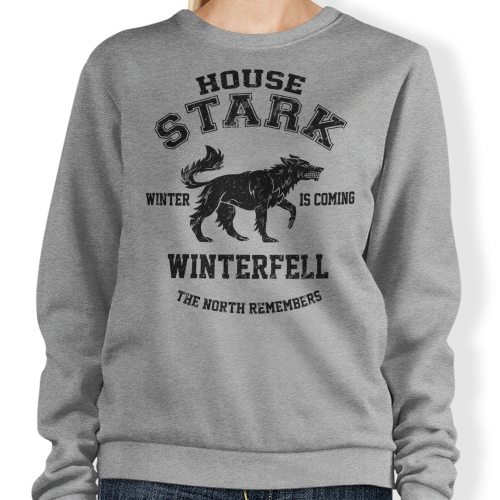 Winter is Coming (Alt) - Adult & Kids T-Shirts, Sweatshirts & Hoodies apparel design preview 1