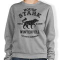 Winter is Coming (Alt) - Adult & Kids T-Shirts, Sweatshirts & Hoodies apparel design preview 1