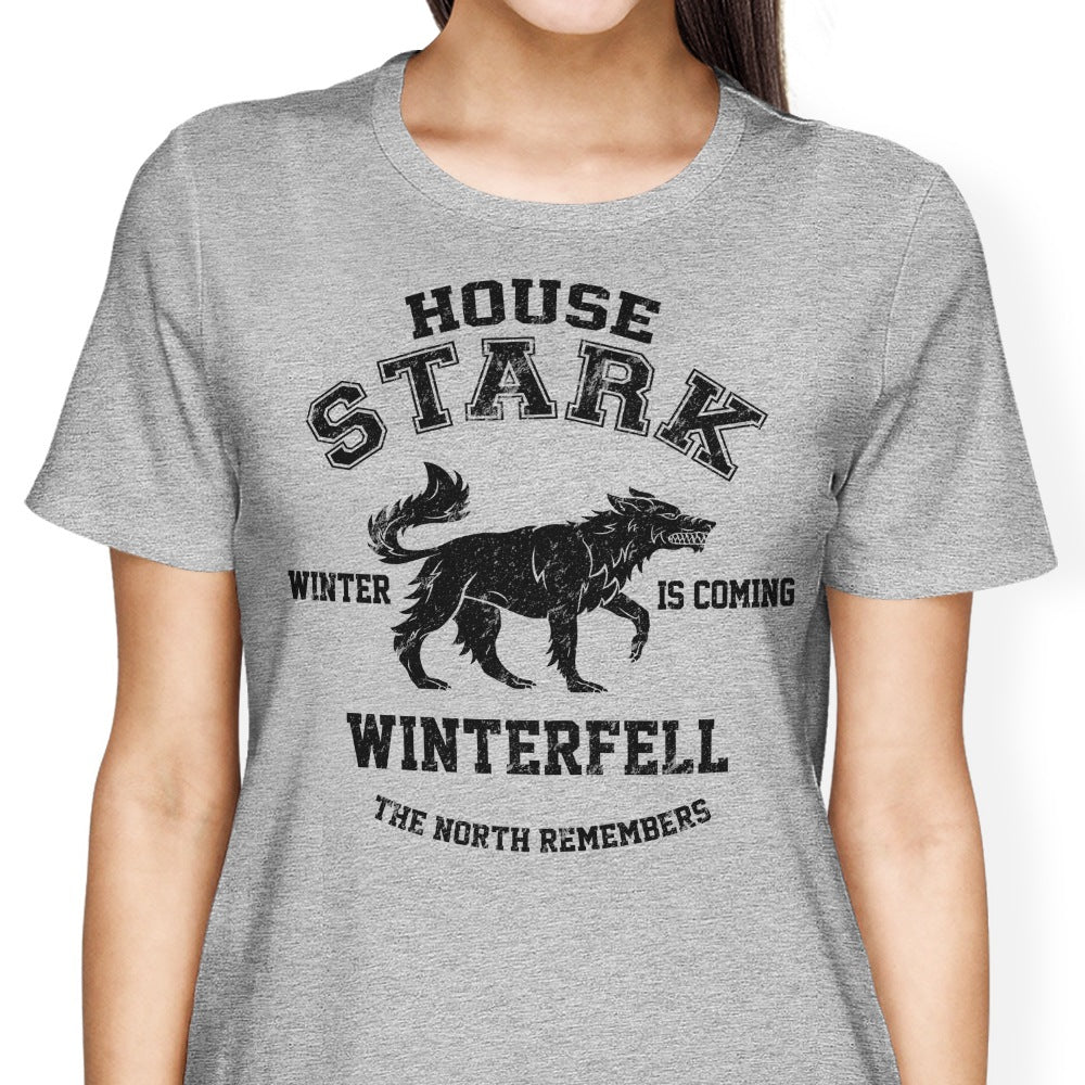Winter is Coming (Alt) Women's Apparel - Adult & Kids T-Shirts, Sweatshirts & Hoodies apparel design preview 2