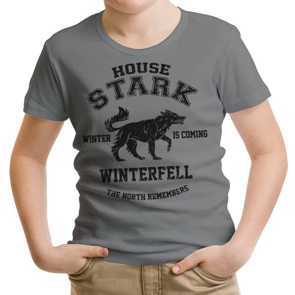Winter is Coming (Alt) Youth Apparel - Adult & Kids T-Shirts, Sweatshirts & Hoodies apparel design preview 1