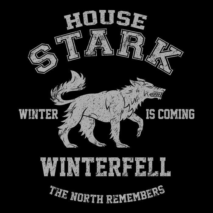 Winter is Coming - Adult & Kids T-Shirts, Sweatshirts & Hoodies apparel design preview 2