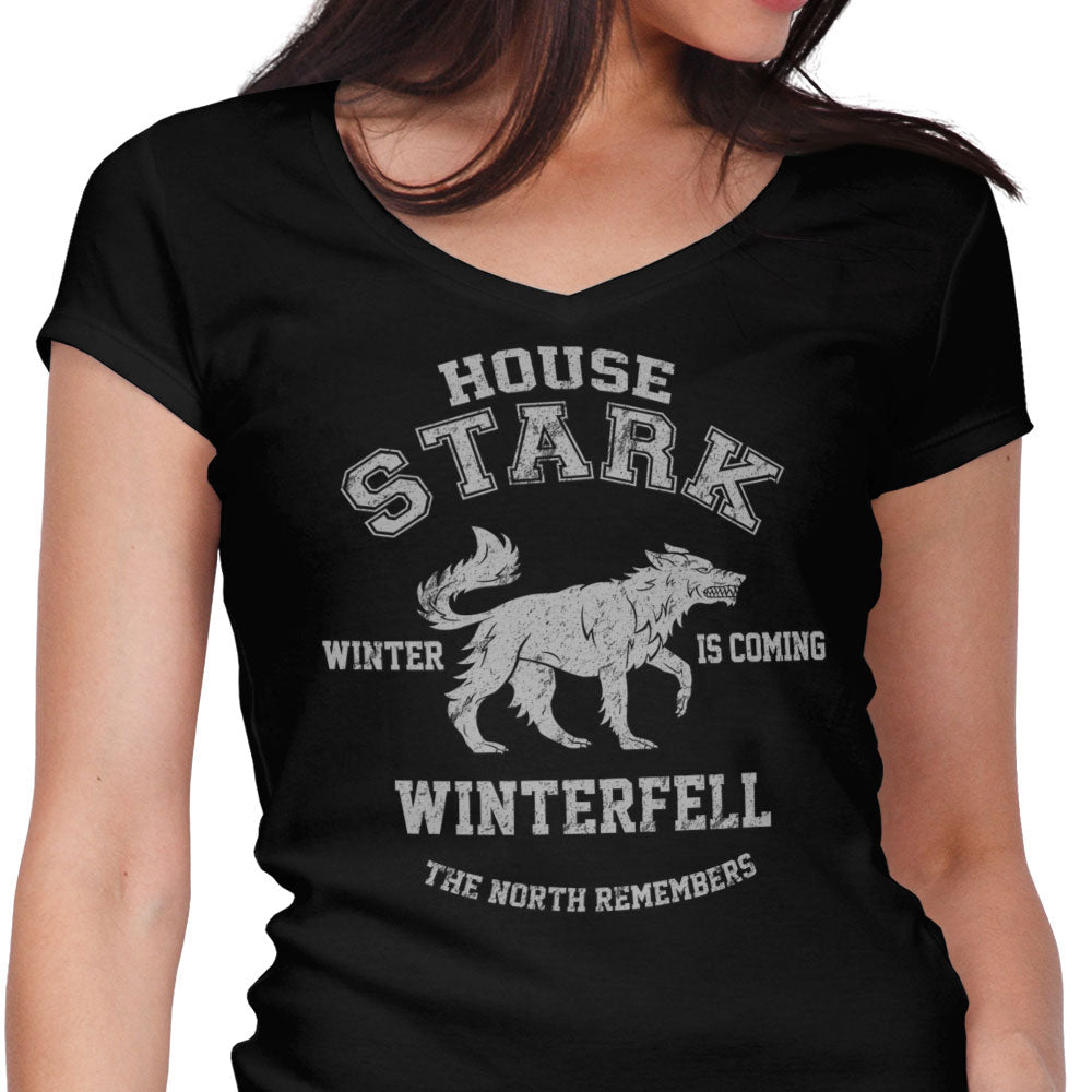 Winter is Coming Women's V-Neck - Adult & Kids T-Shirts, Sweatshirts & Hoodies apparel design preview 1