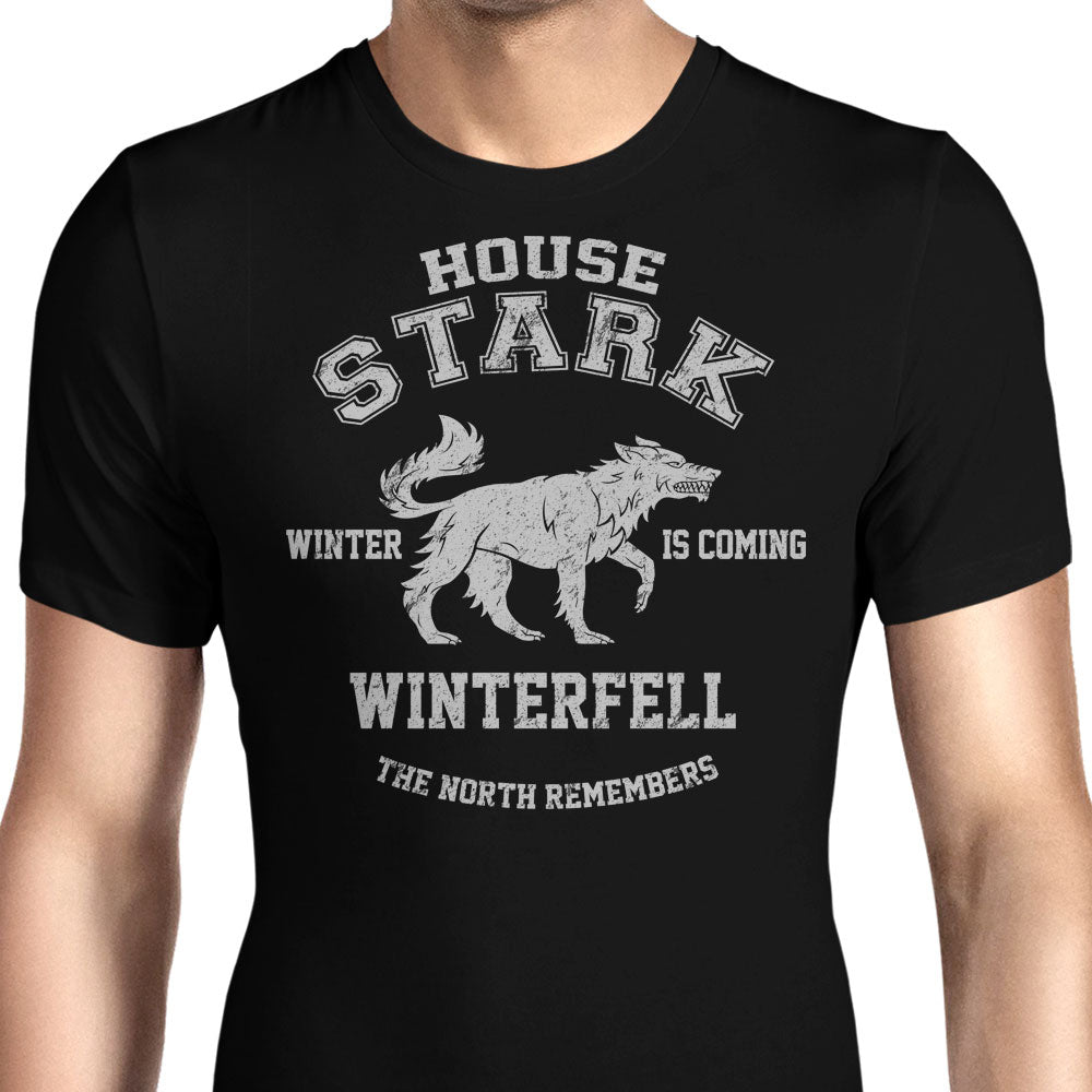 Winter is Coming Men's Apparel - Adult & Kids T-Shirts, Sweatshirts & Hoodies apparel design preview 1
