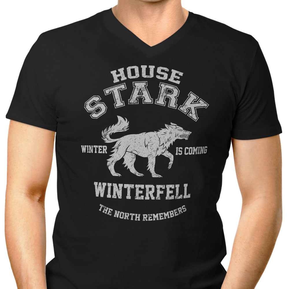 Winter is Coming Men's V-Neck - Adult & Kids T-Shirts, Sweatshirts & Hoodies apparel design preview 1