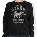 Winter is Coming - Adult & Kids T-Shirts, Sweatshirts & Hoodies apparel design preview 1