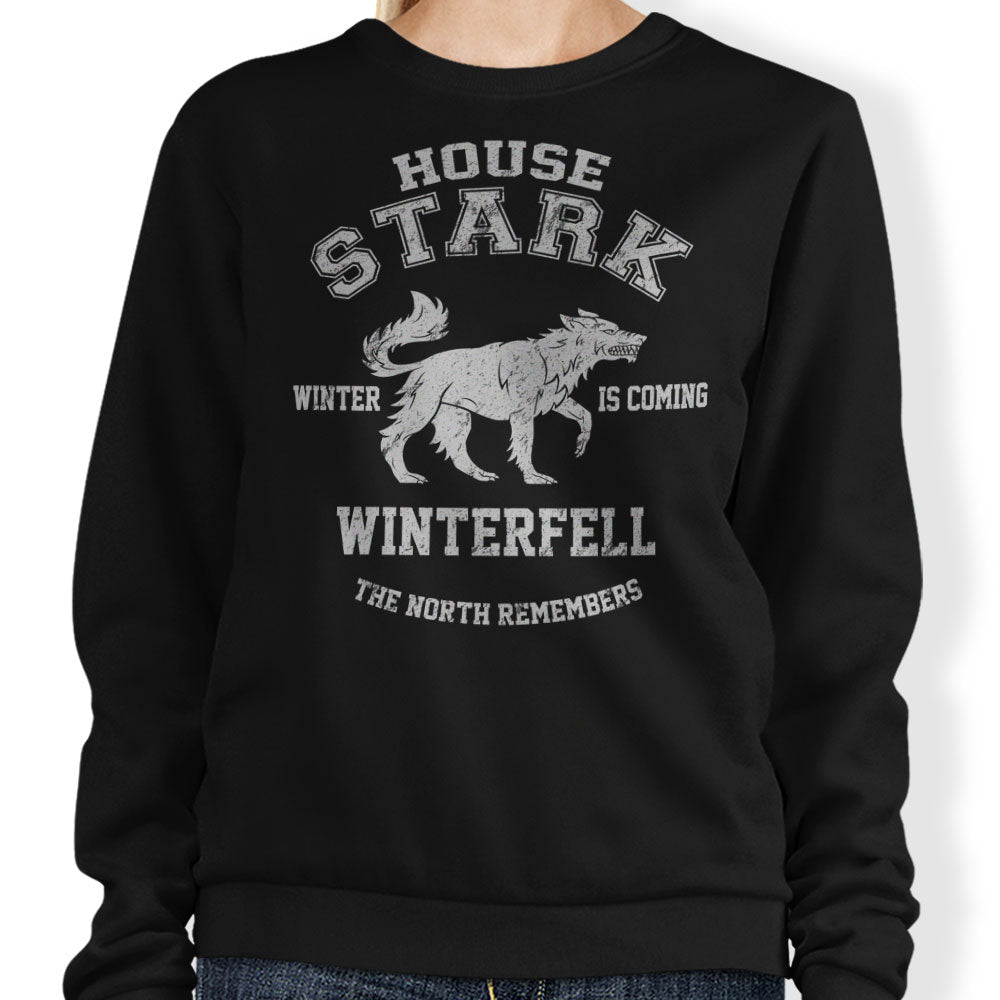 Winter is Coming - Adult & Kids T-Shirts, Sweatshirts & Hoodies apparel design preview 1