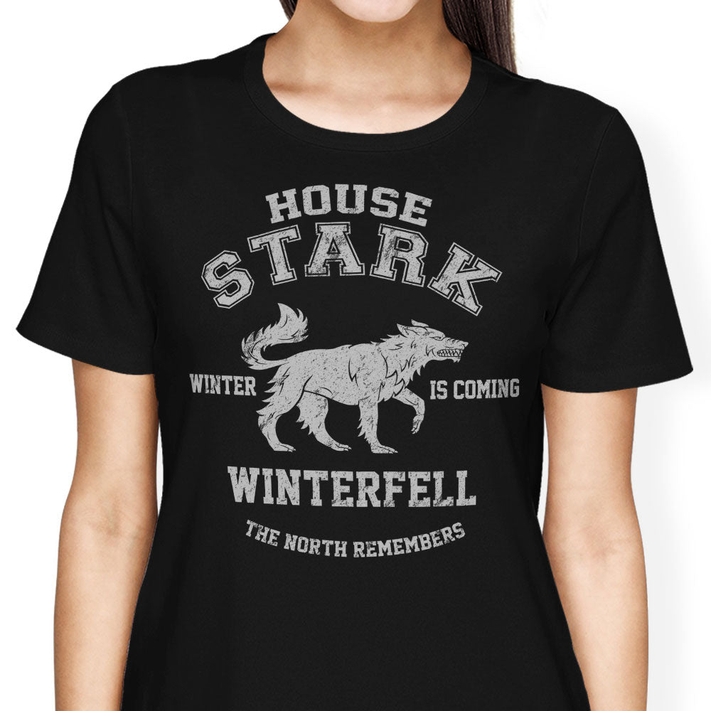 Winter is Coming Women's Apparel - Adult & Kids T-Shirts, Sweatshirts & Hoodies apparel design preview 1