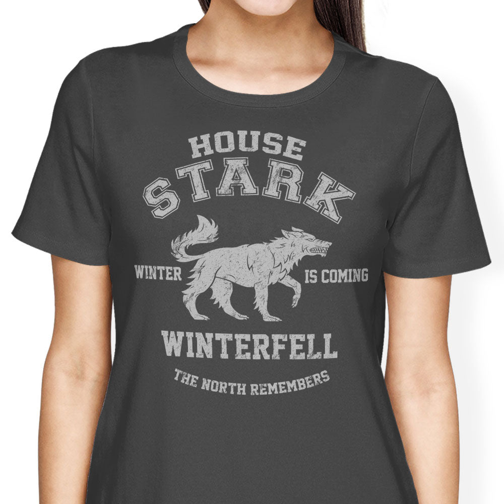 Winter is Coming Women's Apparel - Adult & Kids T-Shirts, Sweatshirts & Hoodies apparel design preview 2