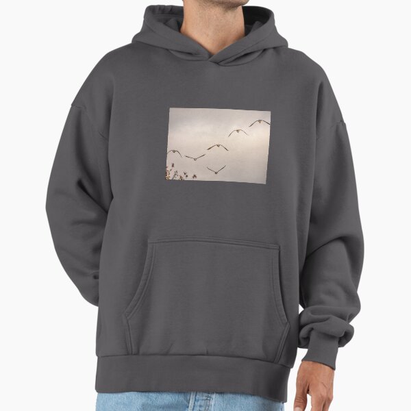 Canada Geese flight _back-end view!!! - Adult & Kids T-Shirts, Sweatshirts & Hoodies apparel design preview 1