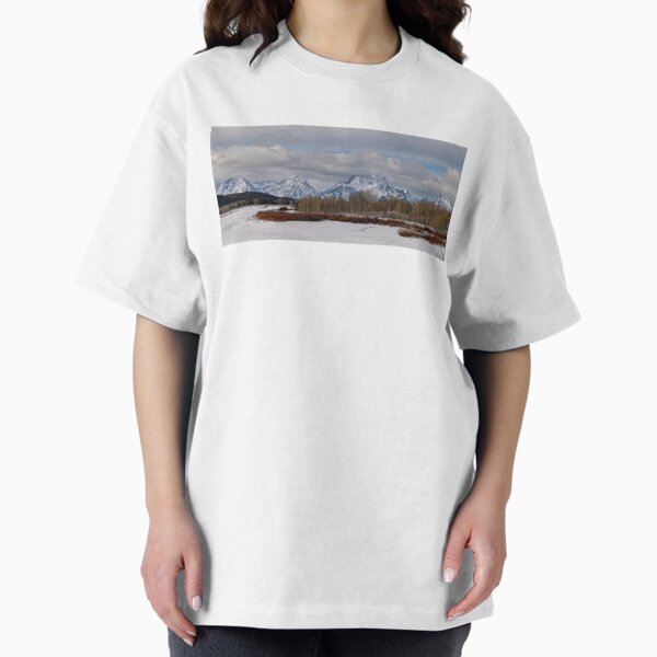 Winter Silence at Oxbow Bend Panorama - Adult & Kids T-Shirts, Sweatshirts & Hoodies apparel design preview 1